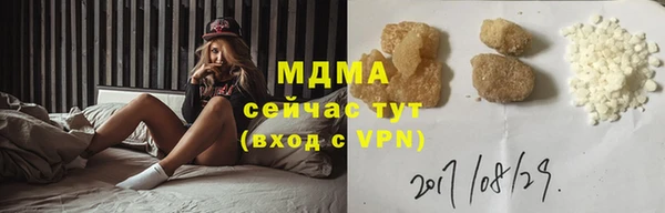 ГАЛЛЮЦИНОГЕННЫЕ ГРИБЫ Михайлов