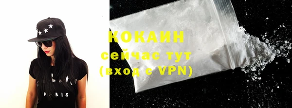 ГАЛЛЮЦИНОГЕННЫЕ ГРИБЫ Михайлов