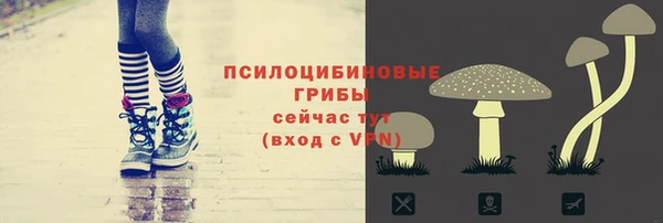 трава Михайловка