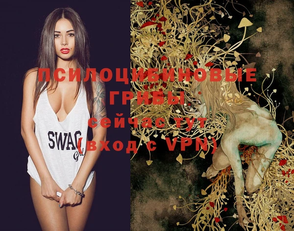 ГАЛЛЮЦИНОГЕННЫЕ ГРИБЫ Михайлов