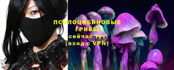 прущие крисы Аша