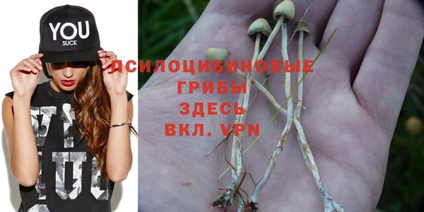 герыч Михайловск