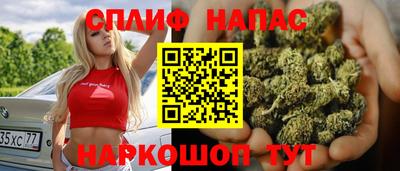 прущие грибы Абинск