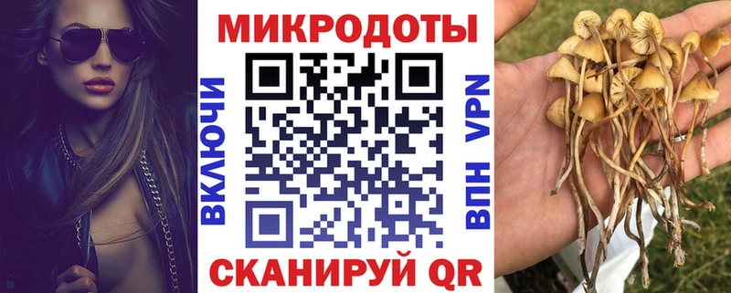 Псилоцибиновые грибы Psilocybine cubensis где купить наркотик Белебей