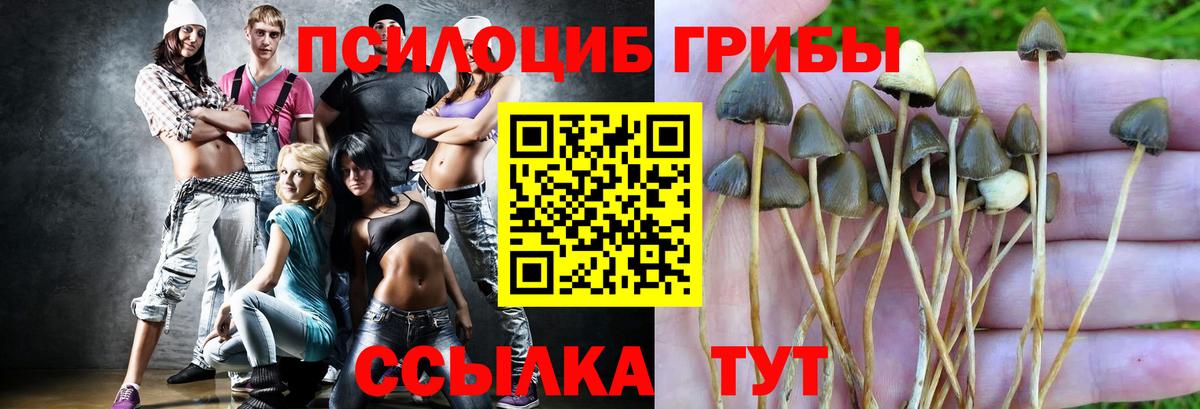 Белебей  Псилоцибиновые грибы Psilocybine cubensis  Галлюциногенные грибы Psilocybine cubensis  Вход с VPN 