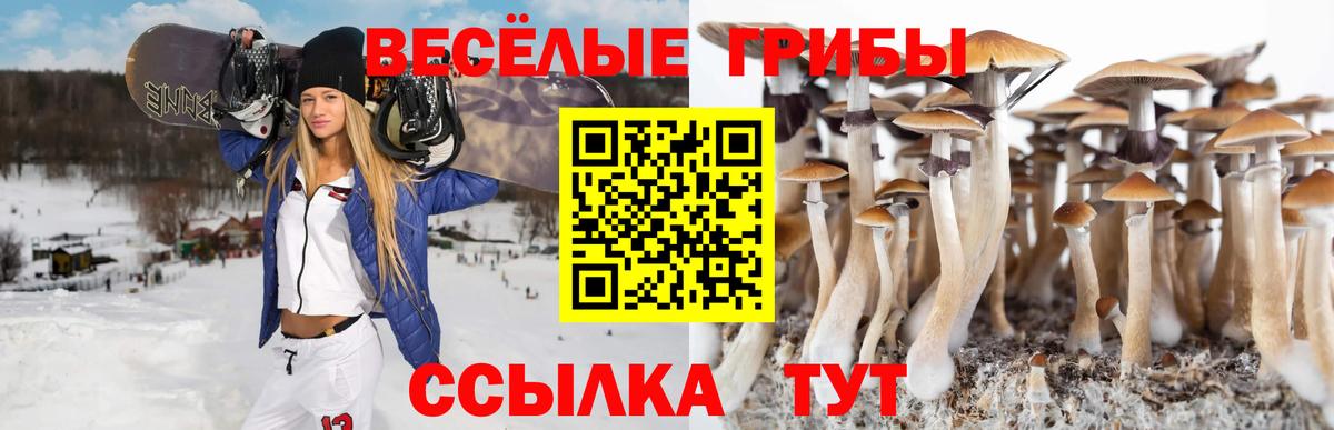 Галлюциногенные грибы Cubensis Белебей